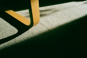 Post-renovation carpet care